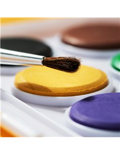 ACUARELE 8 CULORI 28MM ECONOMY DELI 2