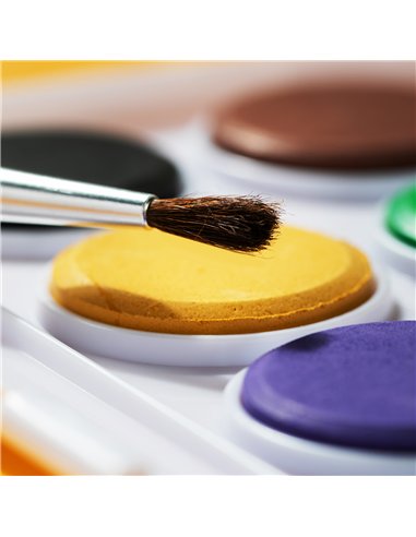 ACUARELE 8 CULORI 28MM ECONOMY DELI