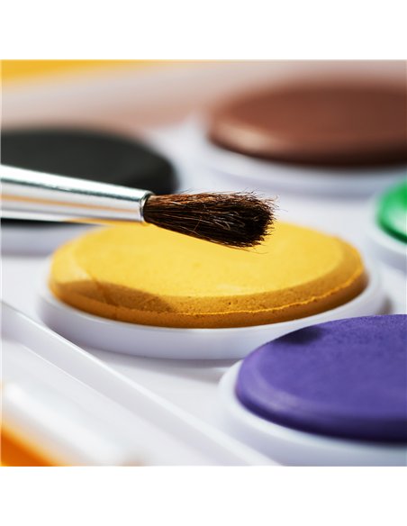 ACUARELE 12 CULORI 28MM ECONOMY DELI