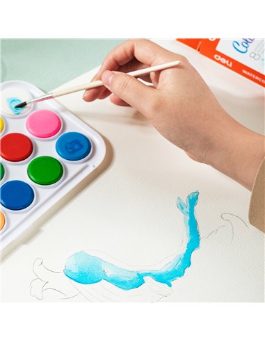 ACUARELE 12 CULORI 28MM ECONOMY DELI