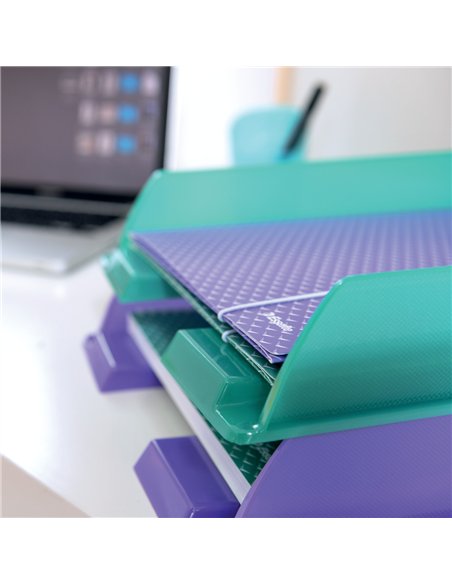 MAPA CARTON CU ELASTIC CORAI RECICLABILA COLOUR'BREEZE ESSELTE